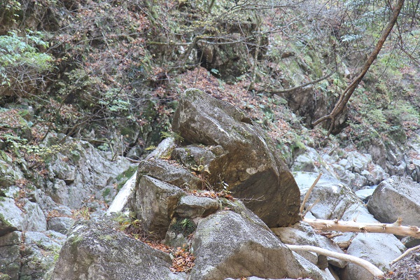 西沢渓谷かえる岩