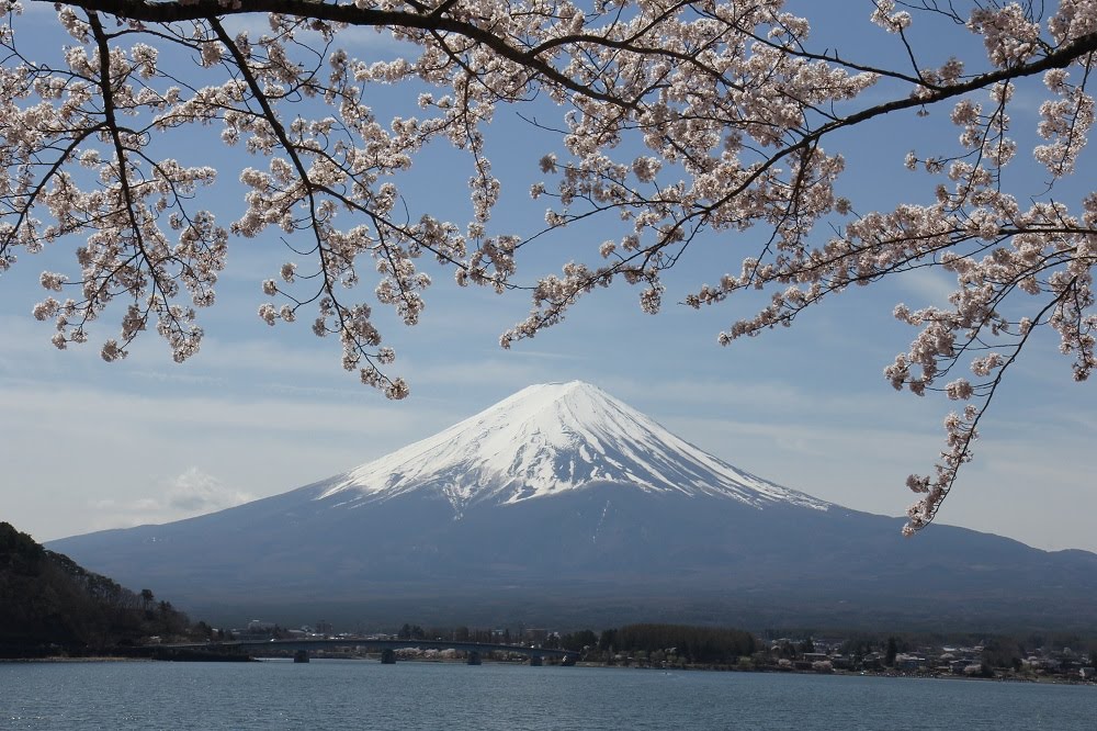 河口湖北岸からの富士山