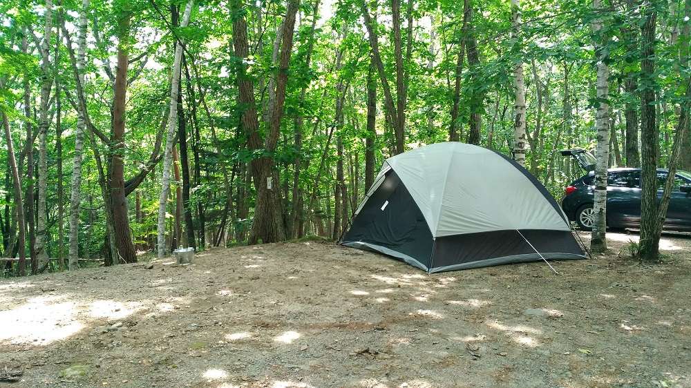 山梨県内で犬と宿泊できるキャンプ場まとめ