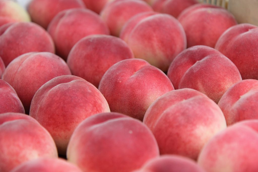 山梨県内で桃食べ放題ができるおすすめの観光農園はここ！